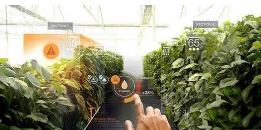 VR還能這么玩！農業+VR,玩轉農業新技術