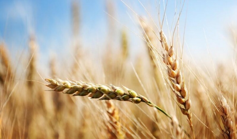 智慧農業發展基礎&mdash;四種數據、三大渠道