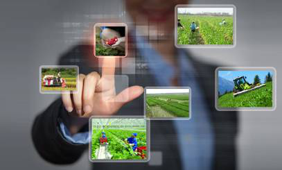詳細解析農業物聯網的3大系統、4大功能、5大應用案例