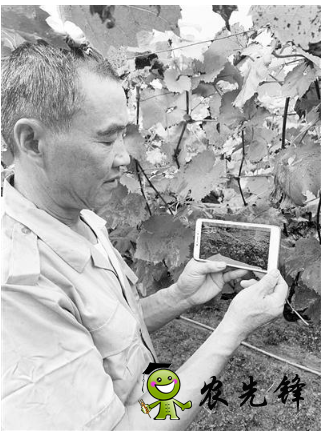 無錫市先行先試加快發展智慧農業，已建設農業物聯網應用點近400個