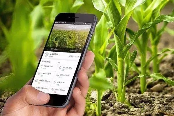 對不起，我跟著華為，辭職種地了！