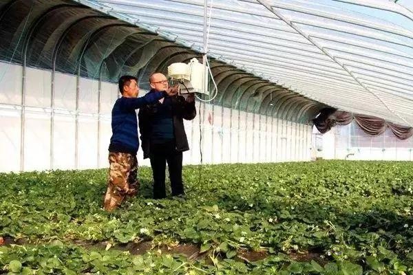 對不起，我跟著華為，辭職種地了！