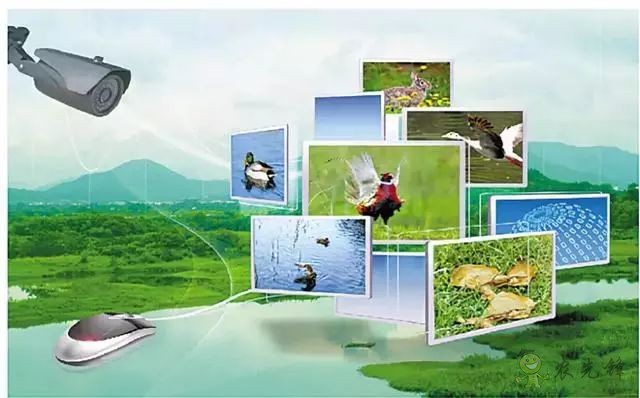 為農業插上翅膀，物聯網引領下一個農業時代！