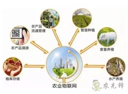為農業插上翅膀，物聯網引領下一個農業時代！