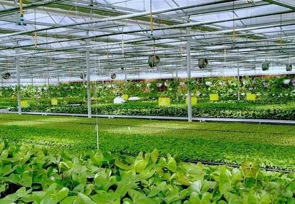 為農業插上翅膀，物聯網引領下一個農業時代！