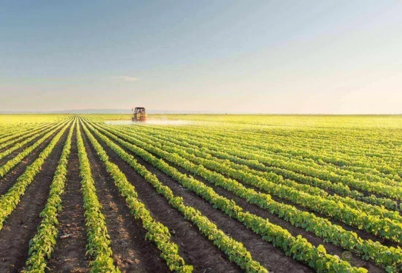 解決農產品渠道之困，才是智慧農業落地法則 