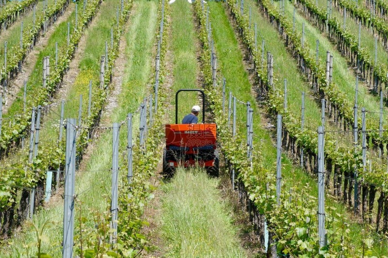 智慧農業前景好，可為啥農民用得少？