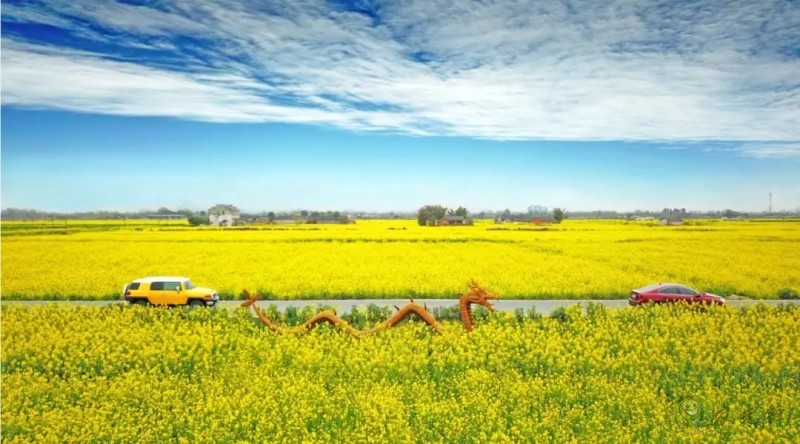 智慧農業前景好，可為啥農民用得少？