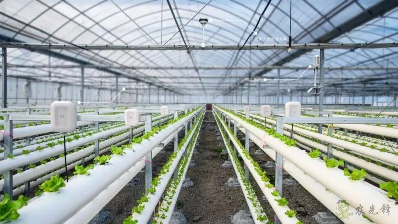 智慧農業前景好，可為啥農民用得少？