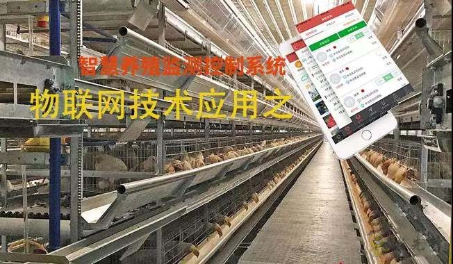 物聯網在智慧養殖監控系統應用