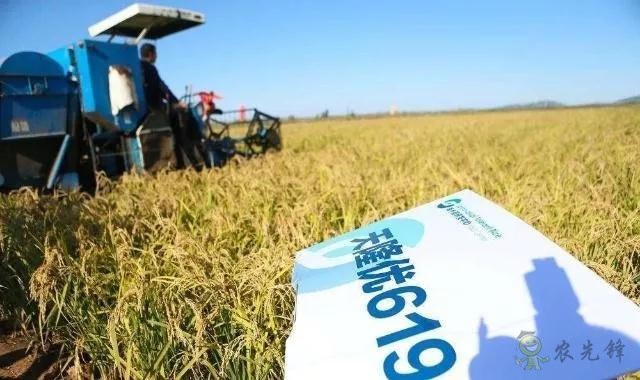 未來農業價值可期！阿里、京東、華為，碧桂園紛紛發力數字農業