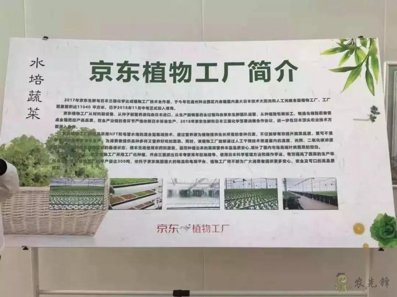 京東的這些&ldquo;網紅&rdquo;農業項目，你都知道嗎？