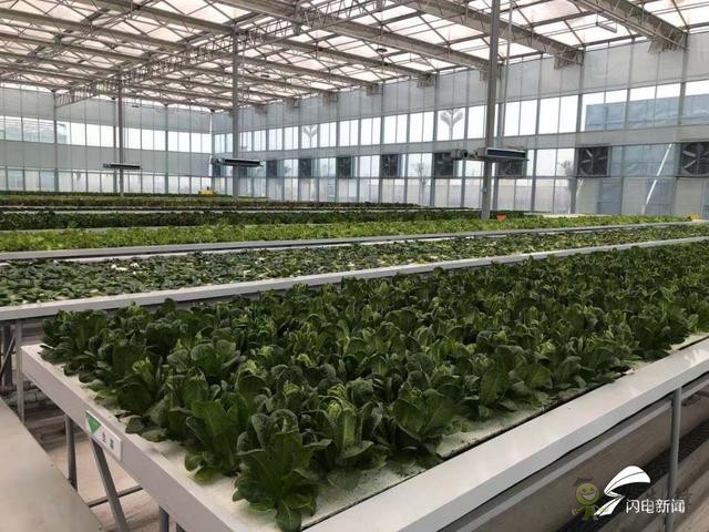 智慧農業新探索&mdash;&mdash;&ldquo;投資商+運營商+家庭農場&rdquo;模式