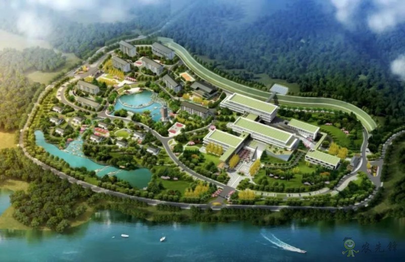 鄧興旺：我為何回國辦現代農學？