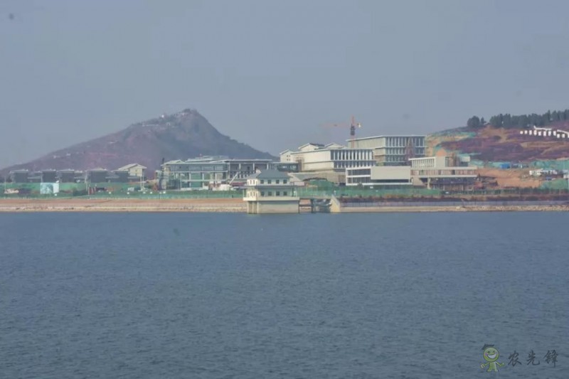 鄧興旺：我為何回國辦現代農學？