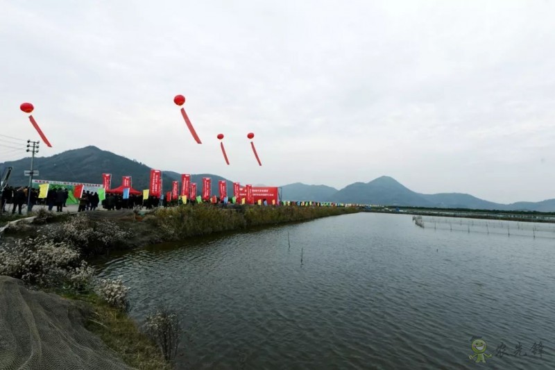 網易味央（三門）現代農業示范園正式開工！