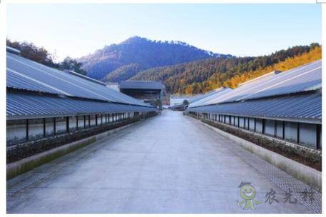 網易味央（三門）現代農業示范園正式開工！