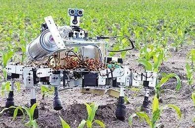 5G的機器人有哪些？5G農業機器人又在其中嗎？