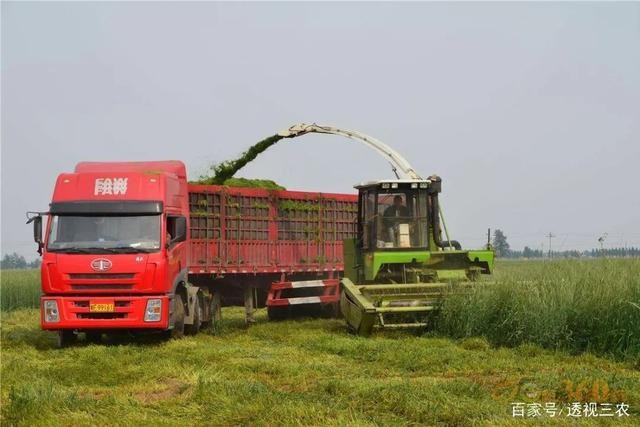 霸氣，江蘇省第一個把農業機器人納入補貼