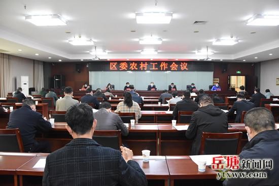 岳塘區：圍繞農業生產、農民生活、農村生態做好做強現代農業