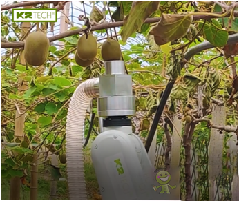 果蔬采收機器人，農業自動化發展新突破