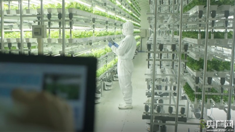 全國政協委員楊國強：發展現代農業 打造規?；療o人農場