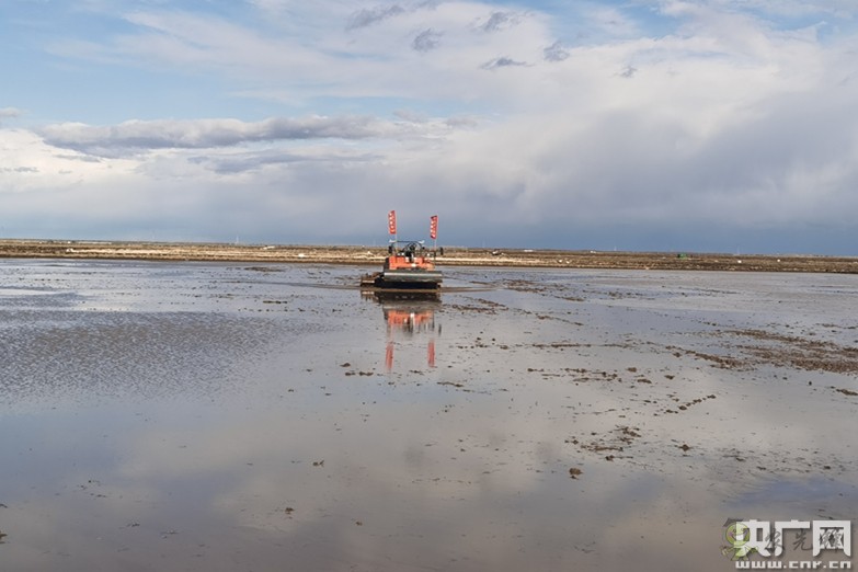 全國政協委員楊國強：發展現代農業 打造規?；療o人農場