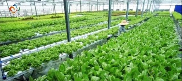 武漢現代農業園布局&ldquo;一核兩翼三園多基地&rdquo;