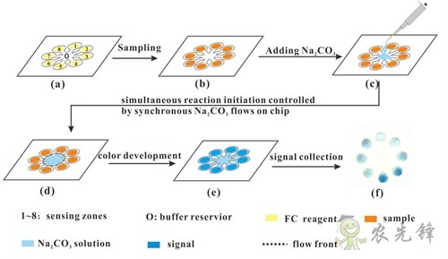 茶多酚含量有多少？這個技術10分鐘就可測出來