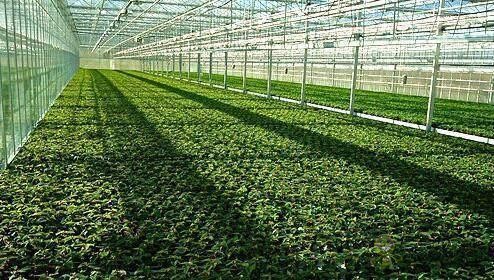 什么是以物聯網為架構的智慧農業系統？