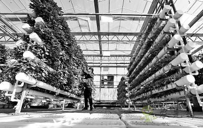 暢想下未來農業是啥樣子的？