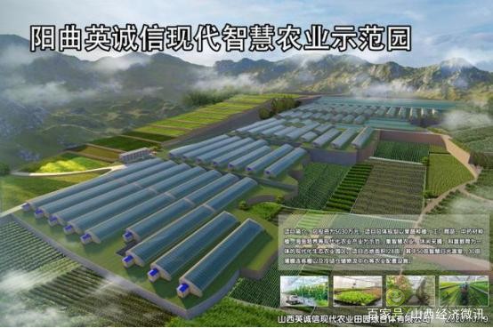 陽曲縣精品農業是如何打造的？