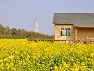 8種最新的農業模式，哪一個會成為下一個“農業風口”呢?