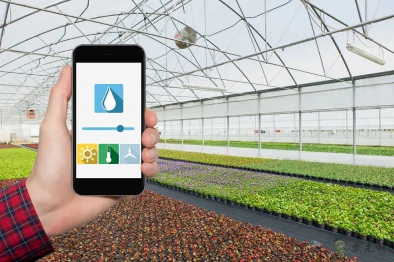 美國科學院研究報告：農業領域亟待突破的五大研究方向