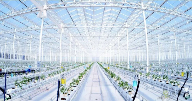 【農業科技】智慧農業會成為鄉村振興的利器嗎？