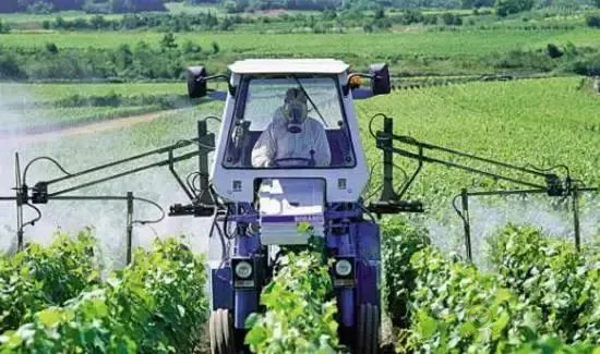 日本農業是如何玩轉現代化？3點借鑒，10大玩法