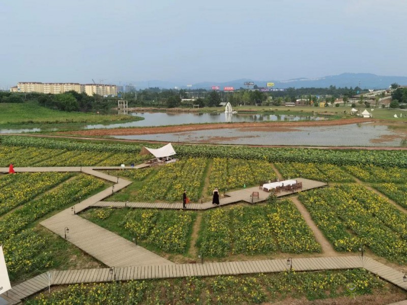 以創建農業國際貿易高質量發展基地為契機&mdash;&mdash;推動中國農業國際合作邁向新高度