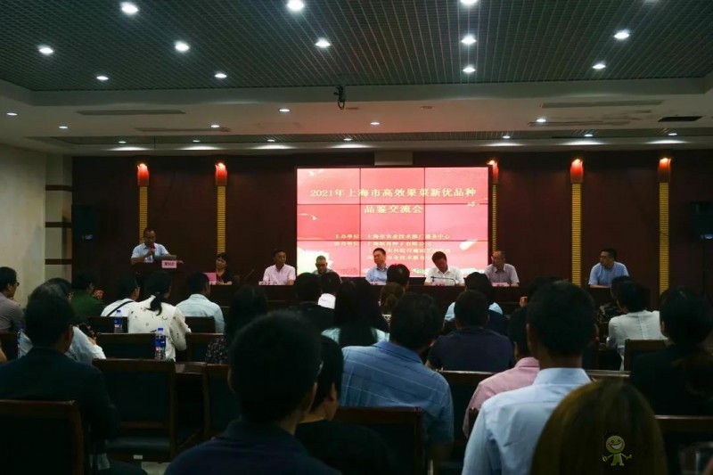 高效果菜新優品種品鑒交流會舉行，一批優質新品種有望走上市民餐桌