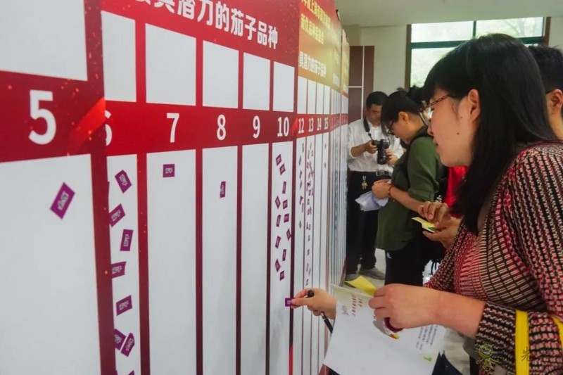 高效果菜新優品種品鑒交流會舉行，一批優質新品種有望走上市民餐桌