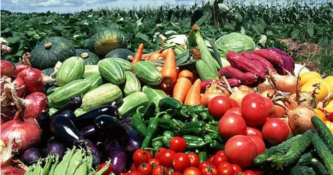 三部門發文，政府采購支持鄉村產業振興