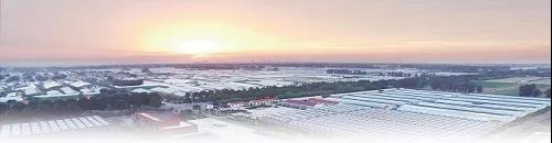 ?鄉村振興，壽光答卷