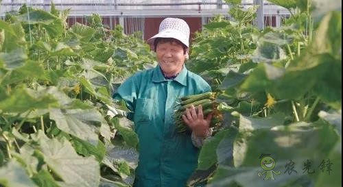 ?鄉村振興，壽光答卷