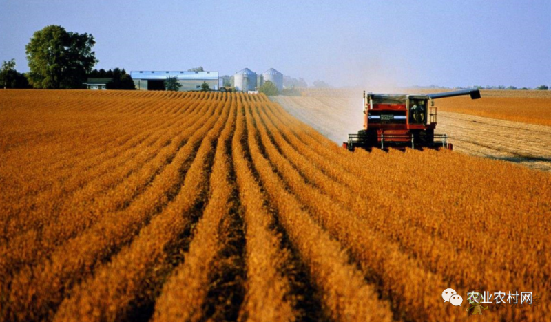 農業農村部數字農業試點都需要符合哪些條件才能申報？