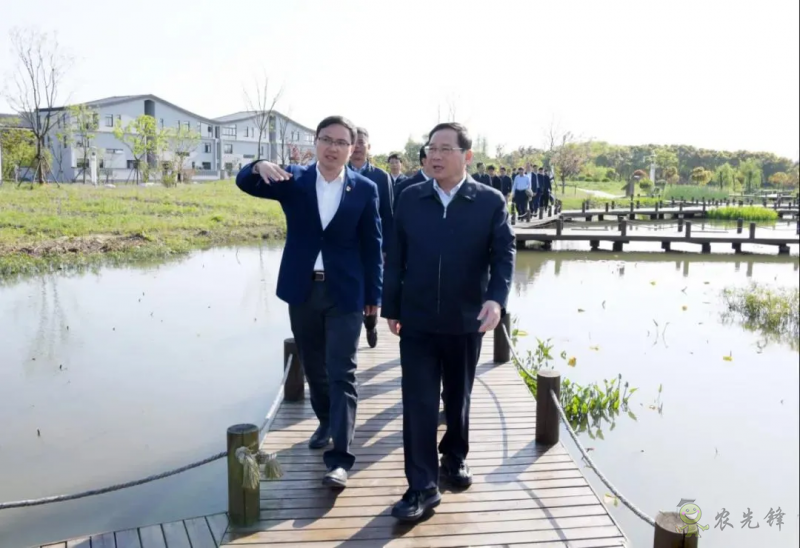 上海市委書記李強談鄉村振興：三個價值、三個空間、三個趨勢