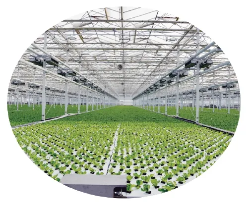 楊凌：強化使命擔當　交好&ldquo;上合答卷&rdquo;