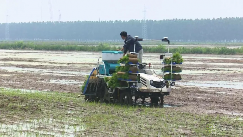 智慧農機上陣 ！無人駕駛插秧機開始大面積試點！