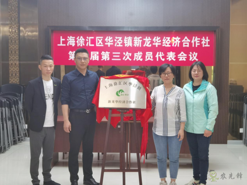 徐匯區華涇鎮：深化農村改革，助力集體經濟發展壯大
