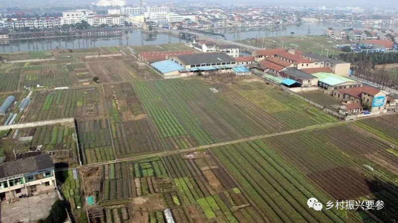 賀雪峰：未來十五年鄉村振興的時空維度、社會條件及預測