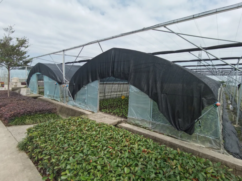 青浦：發展節水灌溉，推動農業提質增效