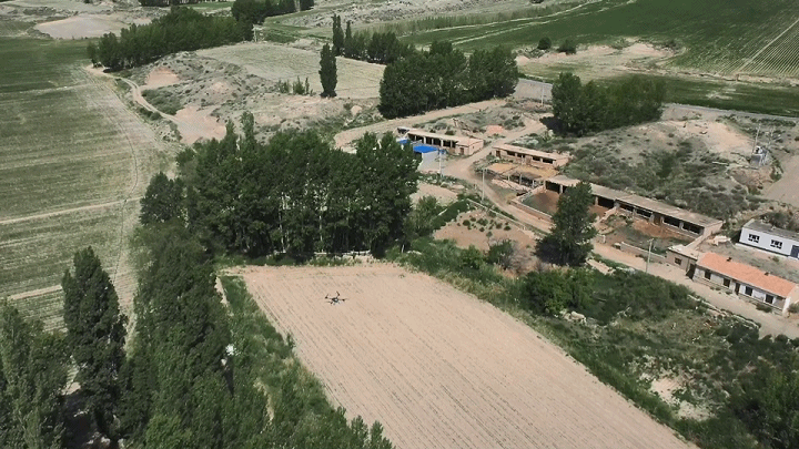 新疆 4 萬畝楊樹林蟲害爆發，極飛農業無人機升空阻擊